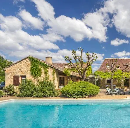 Maison Des Arbres